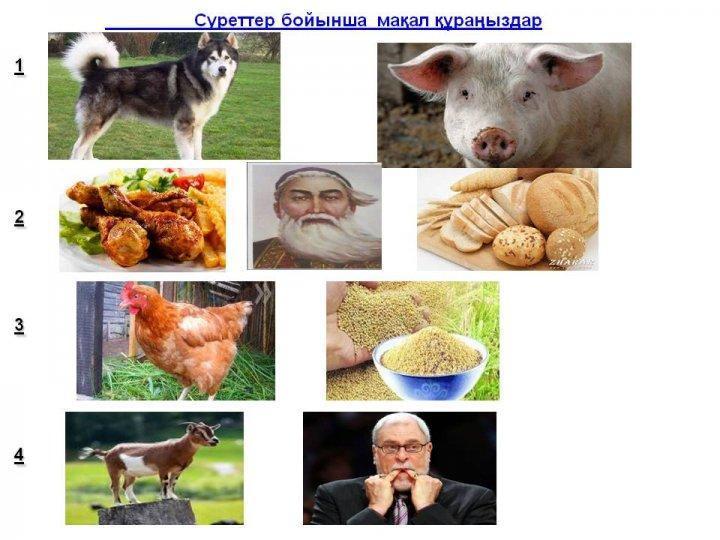 Әдістеме