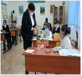 Круглый год